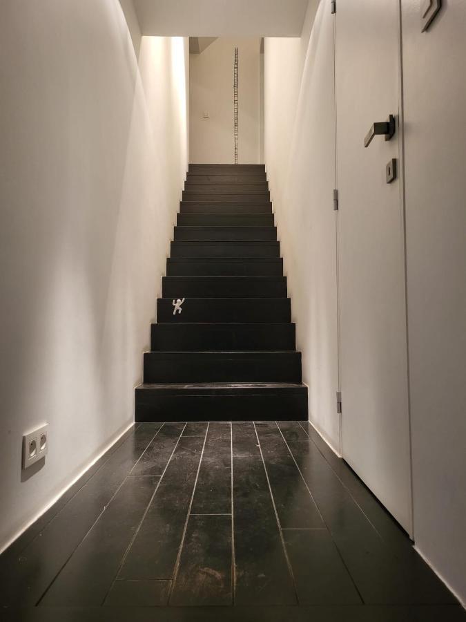 Gezellige Moderne Woning Met Zwemvijver Halle  Eksteriør billede